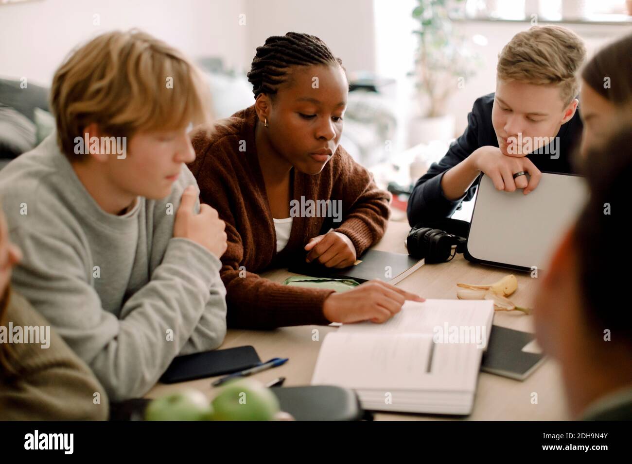 Teenage girls and boys studying together at table in living room Stock Photo