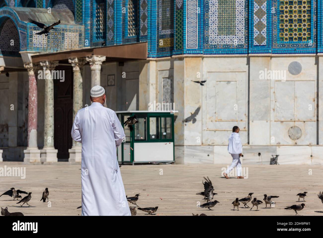 An old imam wearing white arabian gowns and feeding birds and cats at
