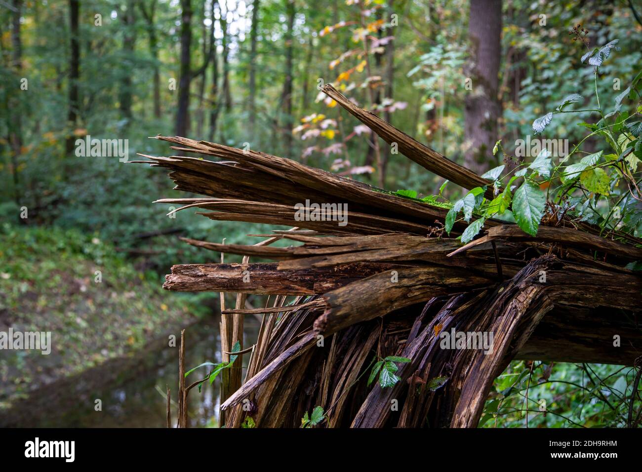 Beautiful watercourse hi-res stock photography and images - Alamy