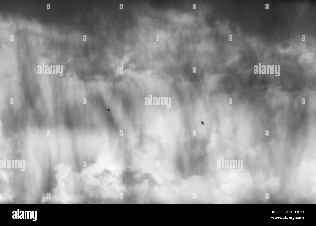 Birds in Virga Rain Stock Photo