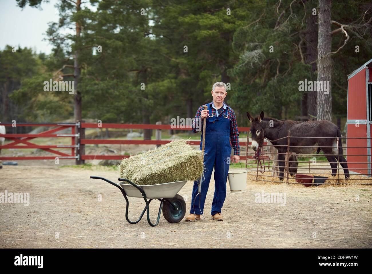 Portrait of farmer holding bucket and pitchfork while standing by wheelbarrow in farm Stock Photo