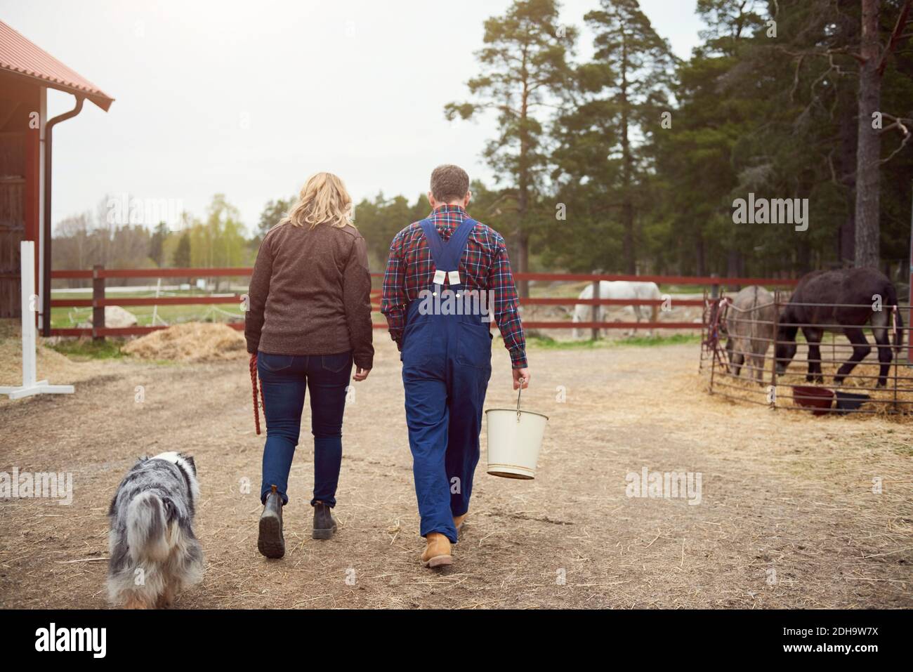 Rear view of mature couple walking in farm Stock Photo