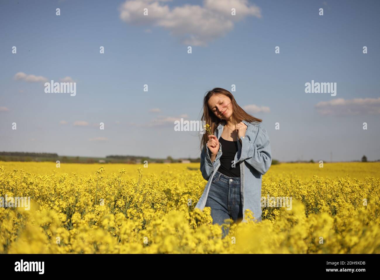 young beautiful woman in a field with yellow blooming rapeseed. girl in ...