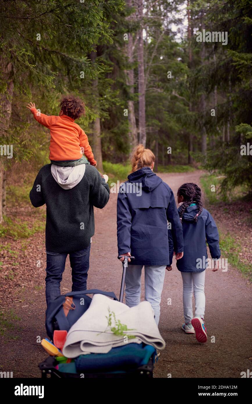 Rear view of family walking on trail amidst trees in forest Stock Photo ...