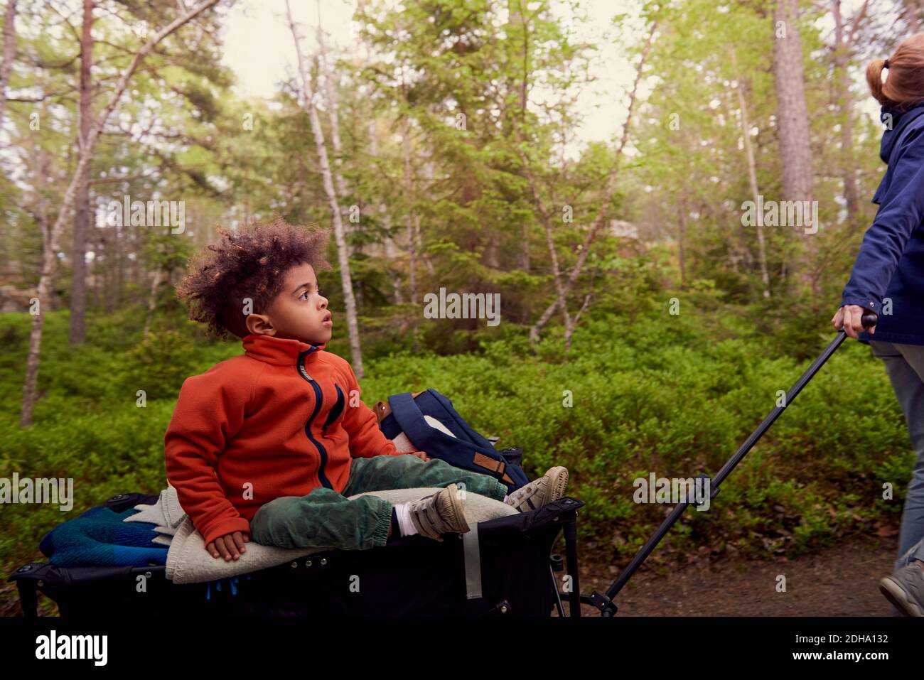 Mother pulling boy sitting on camping cart against trees in forest Stock Photo