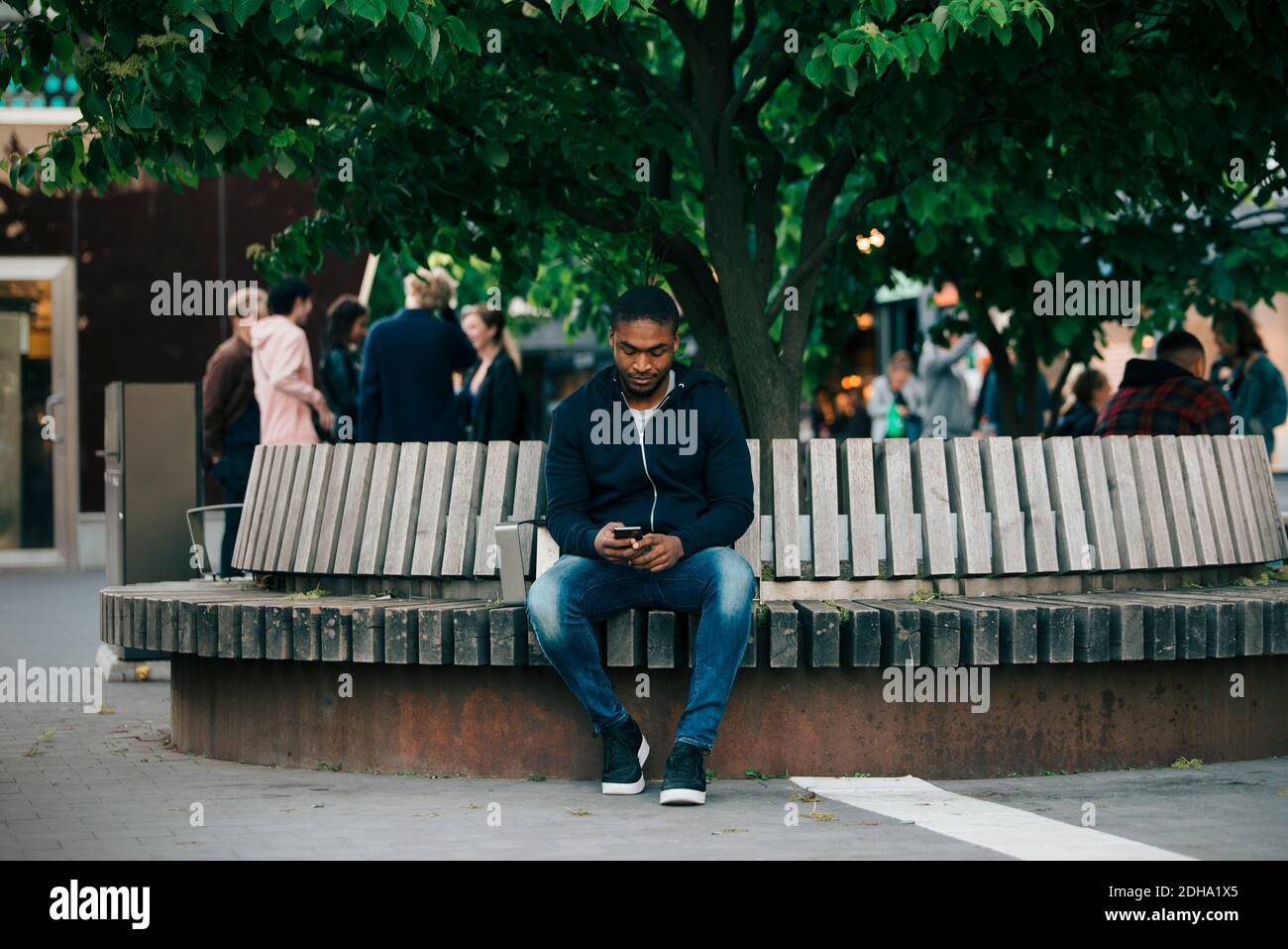 Young man sitting on tree hi-res stock photography and images - Alamy