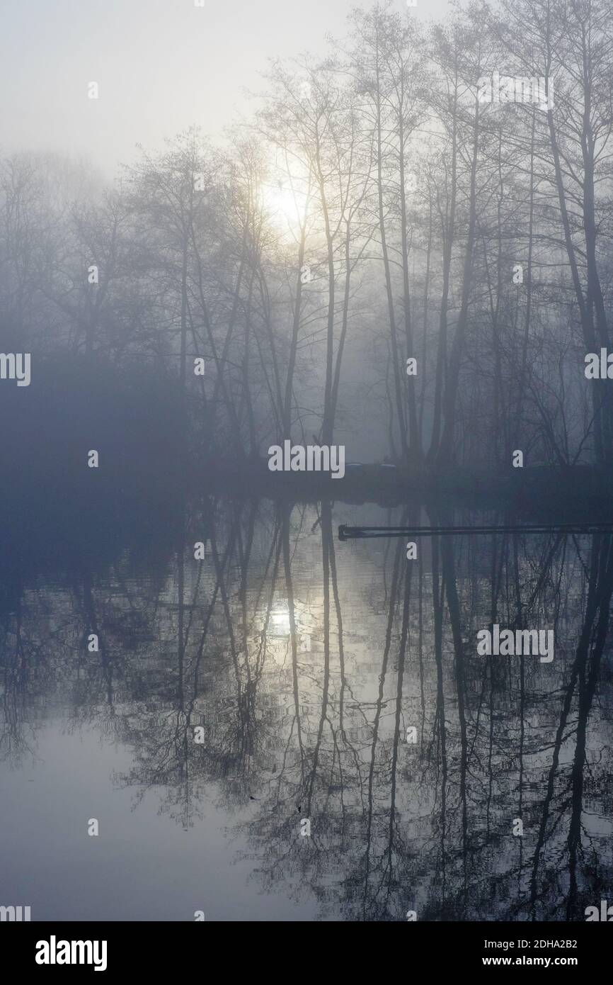 Reflection of trees on idyllic lake in misty day Stock Photo - Alamy