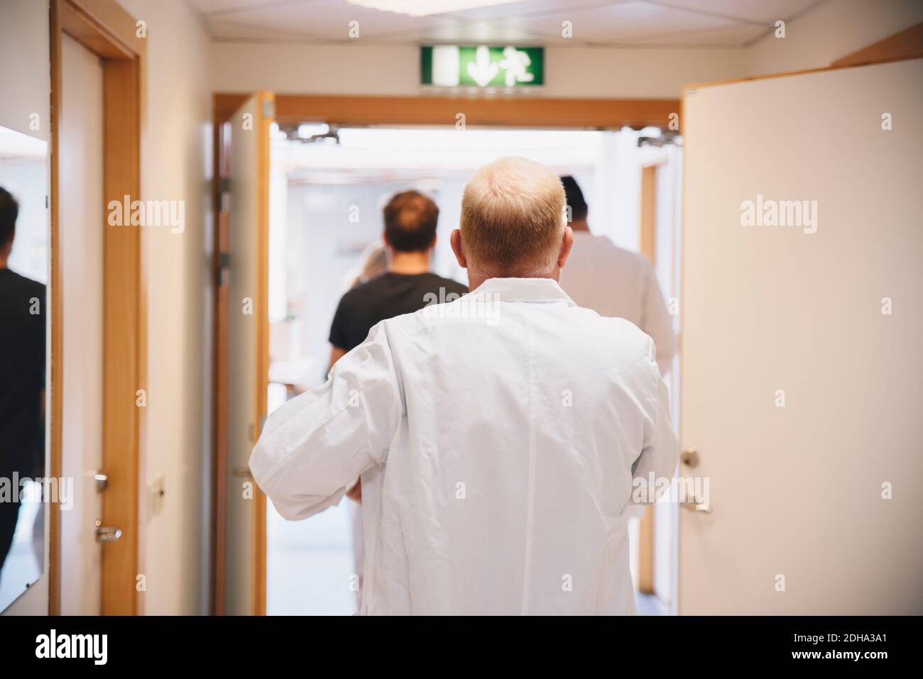 Rear view of mature doctor walking with colleagues and patient at hospital corridor Stock Photo
