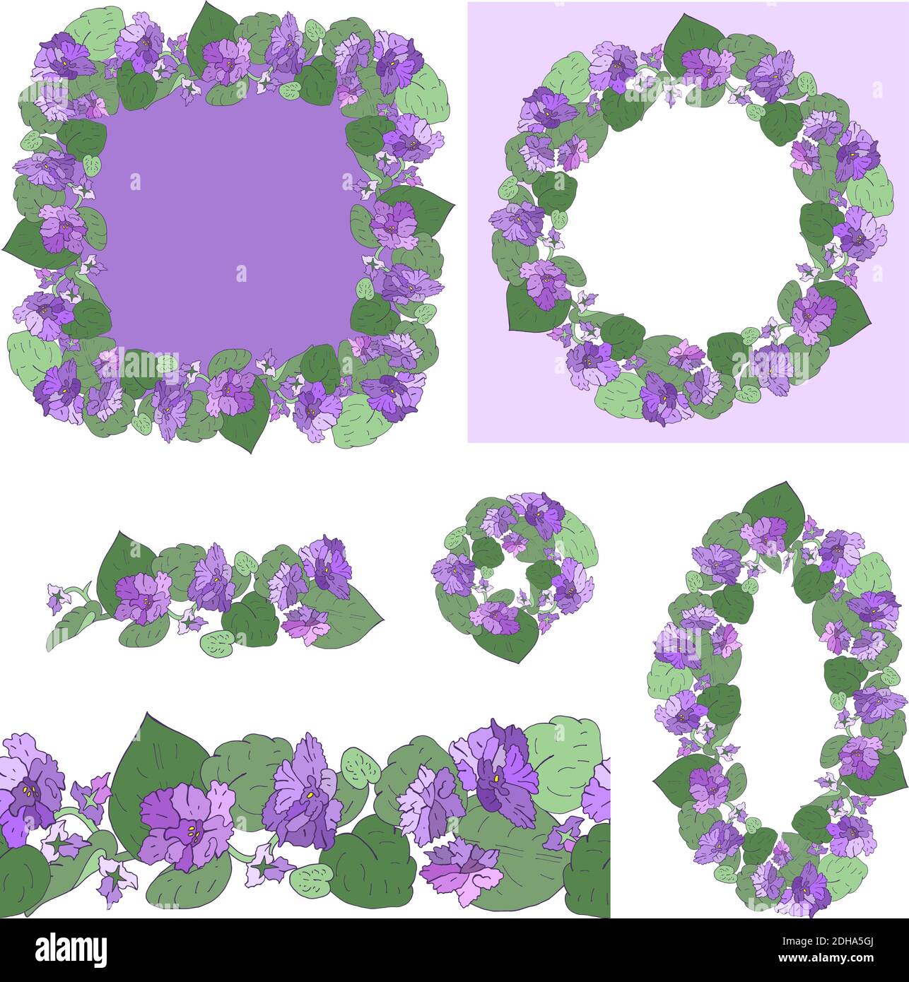 Vector set of flowering African violets with flowers of different colors isolated on white background Stock Vector