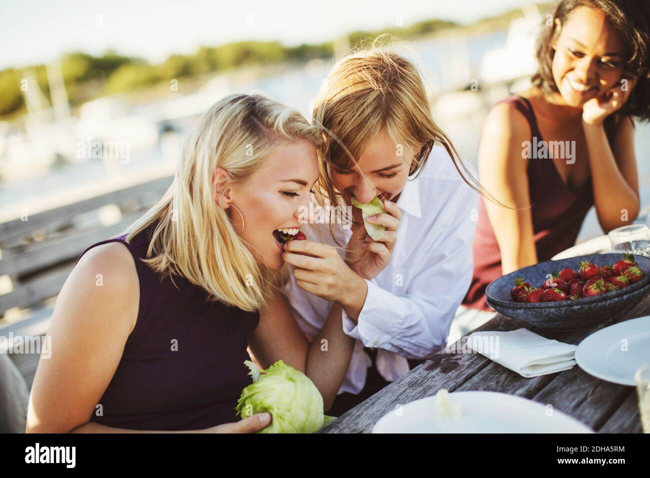 Young woman looking at cheerful blond friends sharing cabbage at picnic table Stock Photo