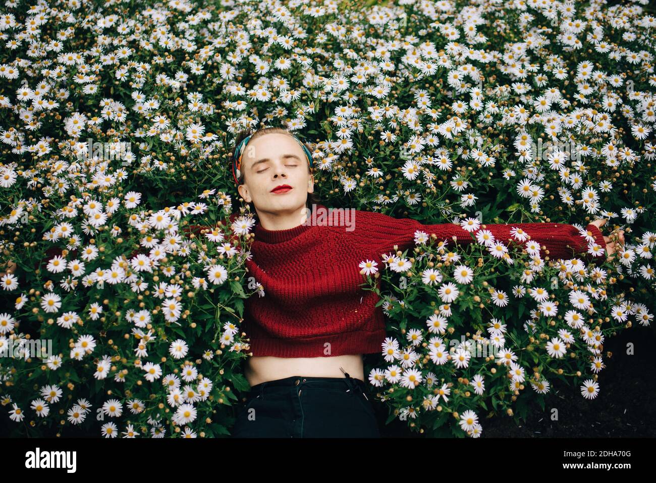 Contemplating man wearing red lipstick sleeping amidst daisy flowering plants Stock Photo