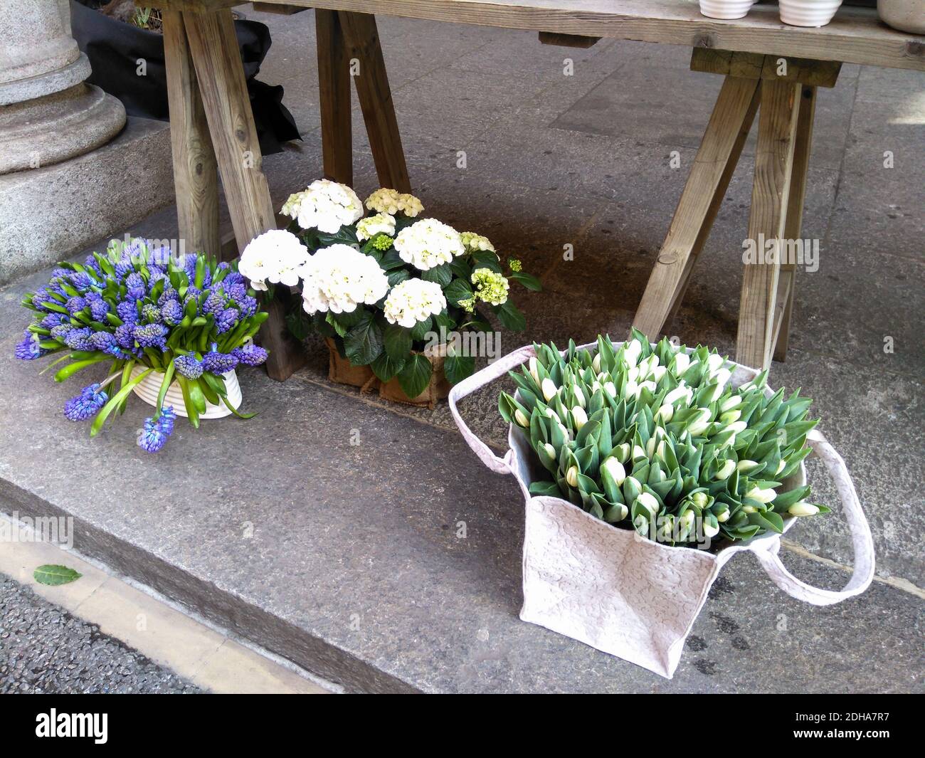 Lugano, Switzerland February 26, 2018 Ornamental flowers for sale in