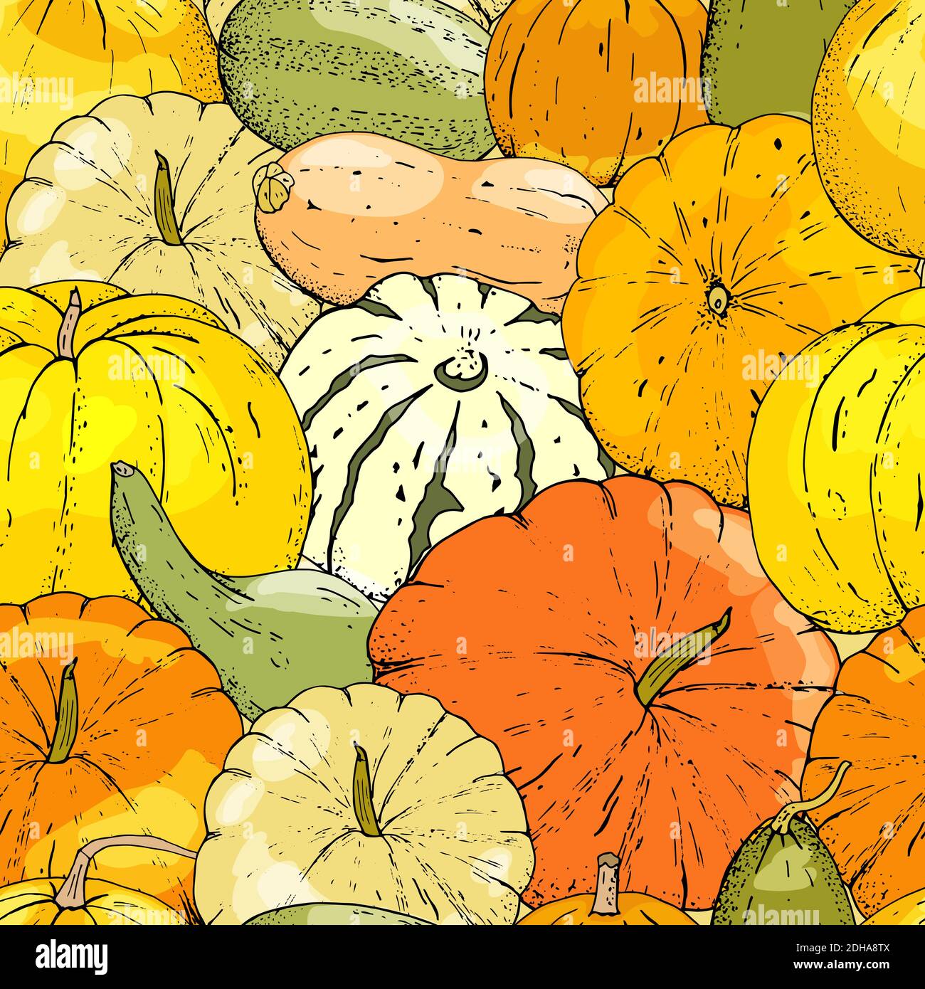 Vector seamless pattern of pumpkin on white background Stock Vector ...