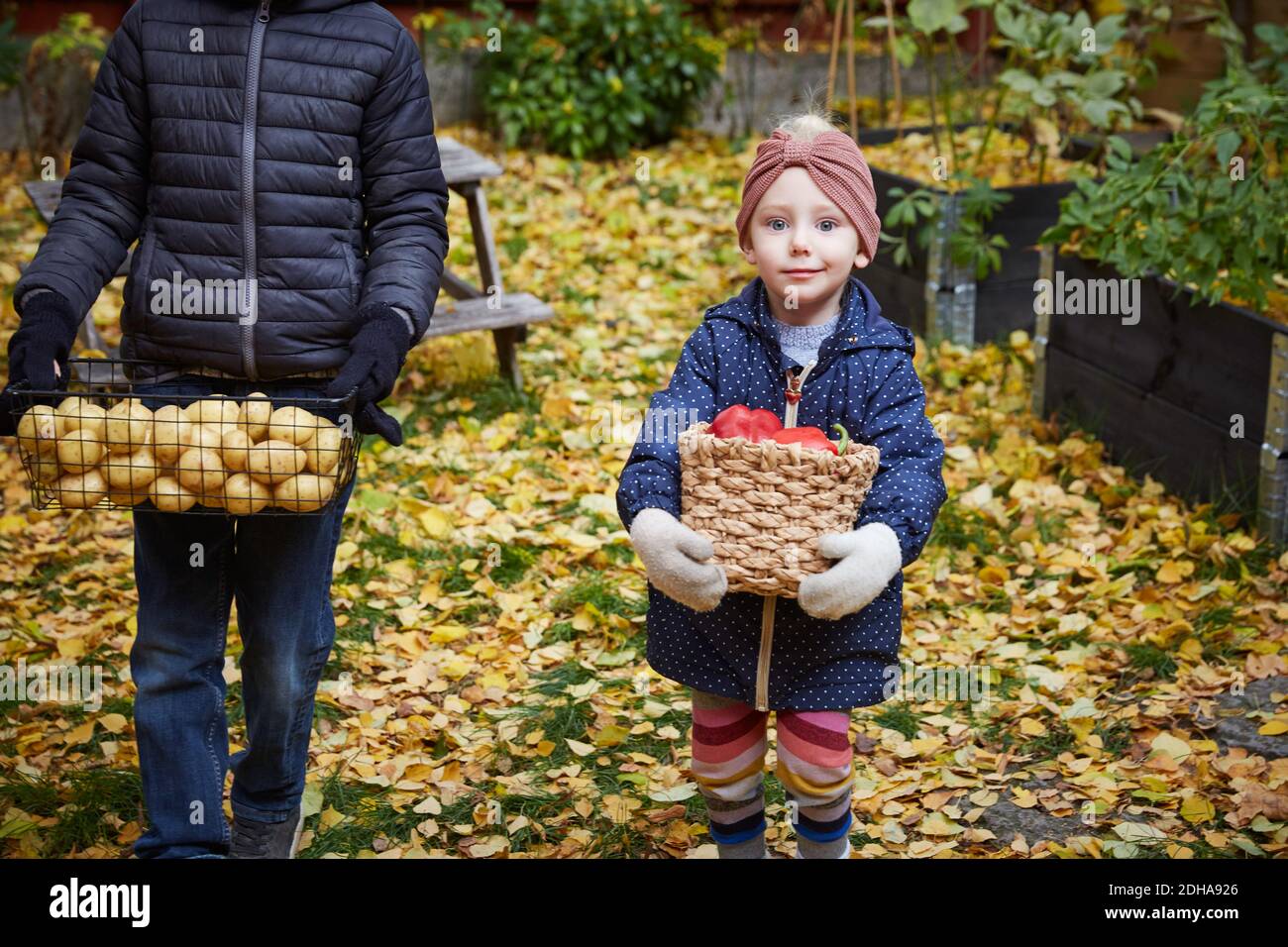 Portrait of smiling girl with vegetable basket while standing by male sibling in back yard Stock Photo