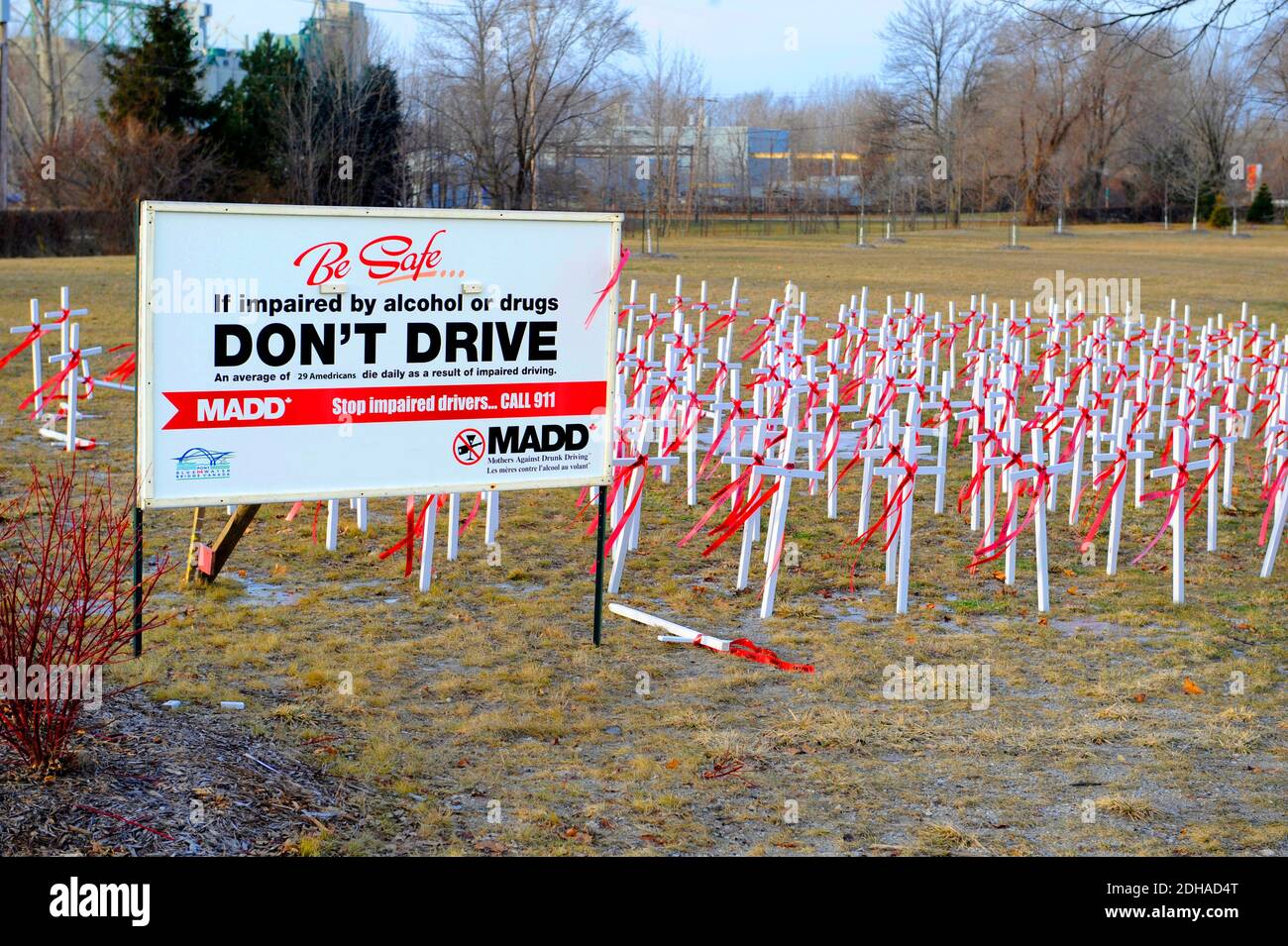 white crosses in ground signify lives lost due to drunk drivers causing accidents Stock Photo