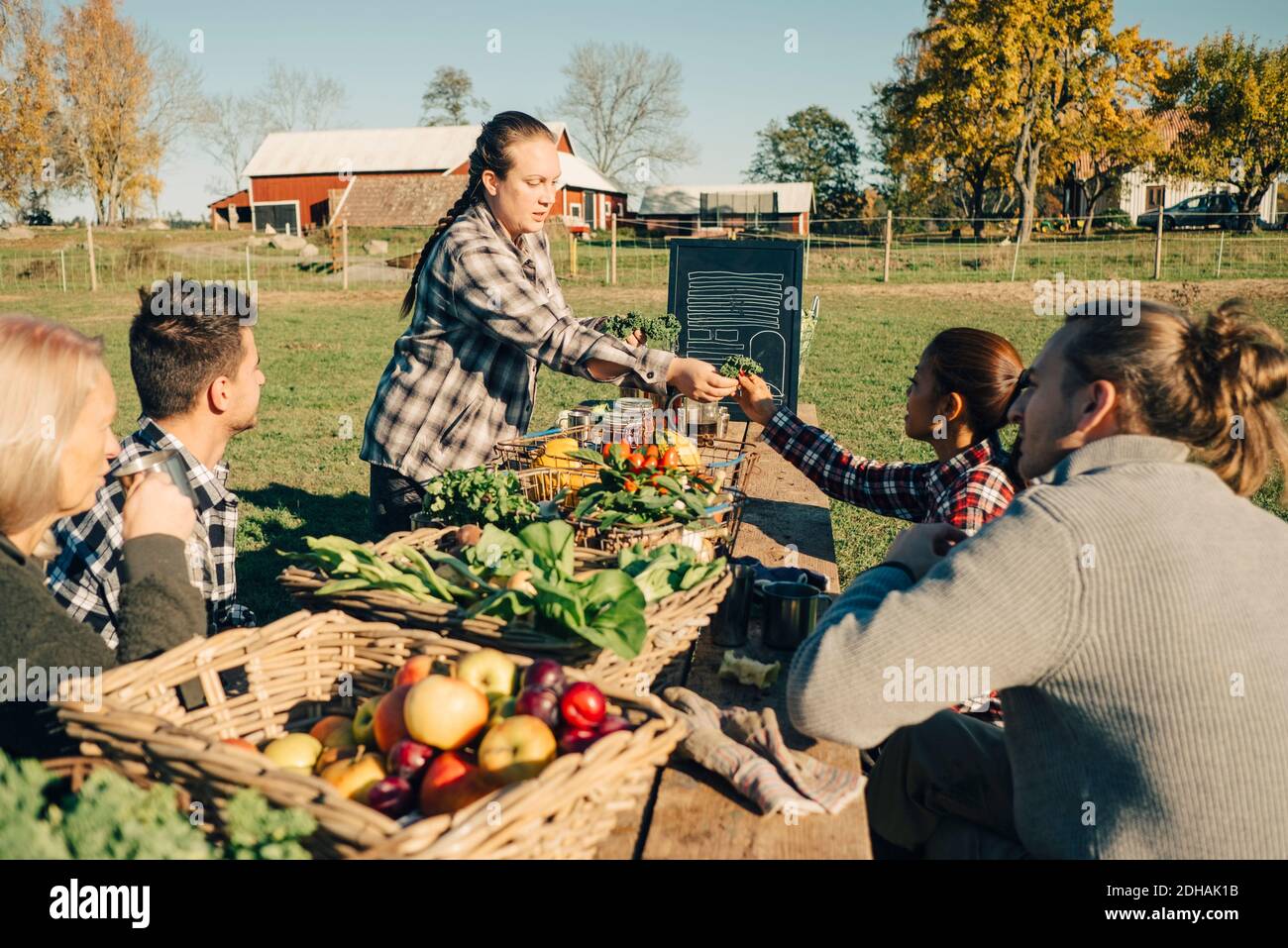 Multi-ethnic male and female farmers selling organic vegetables at ...