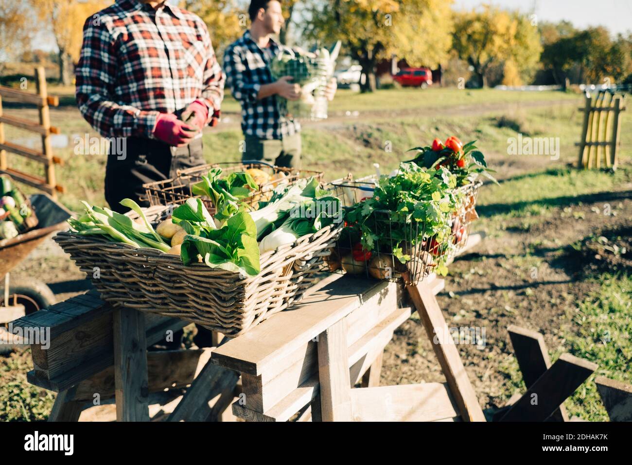 Male and female farmers selling fresh organic vegetables at market ...
