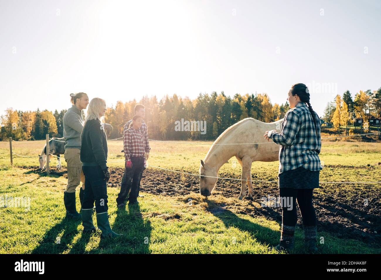 Female instructor explaining farmers about horse at farm Stock Photo ...