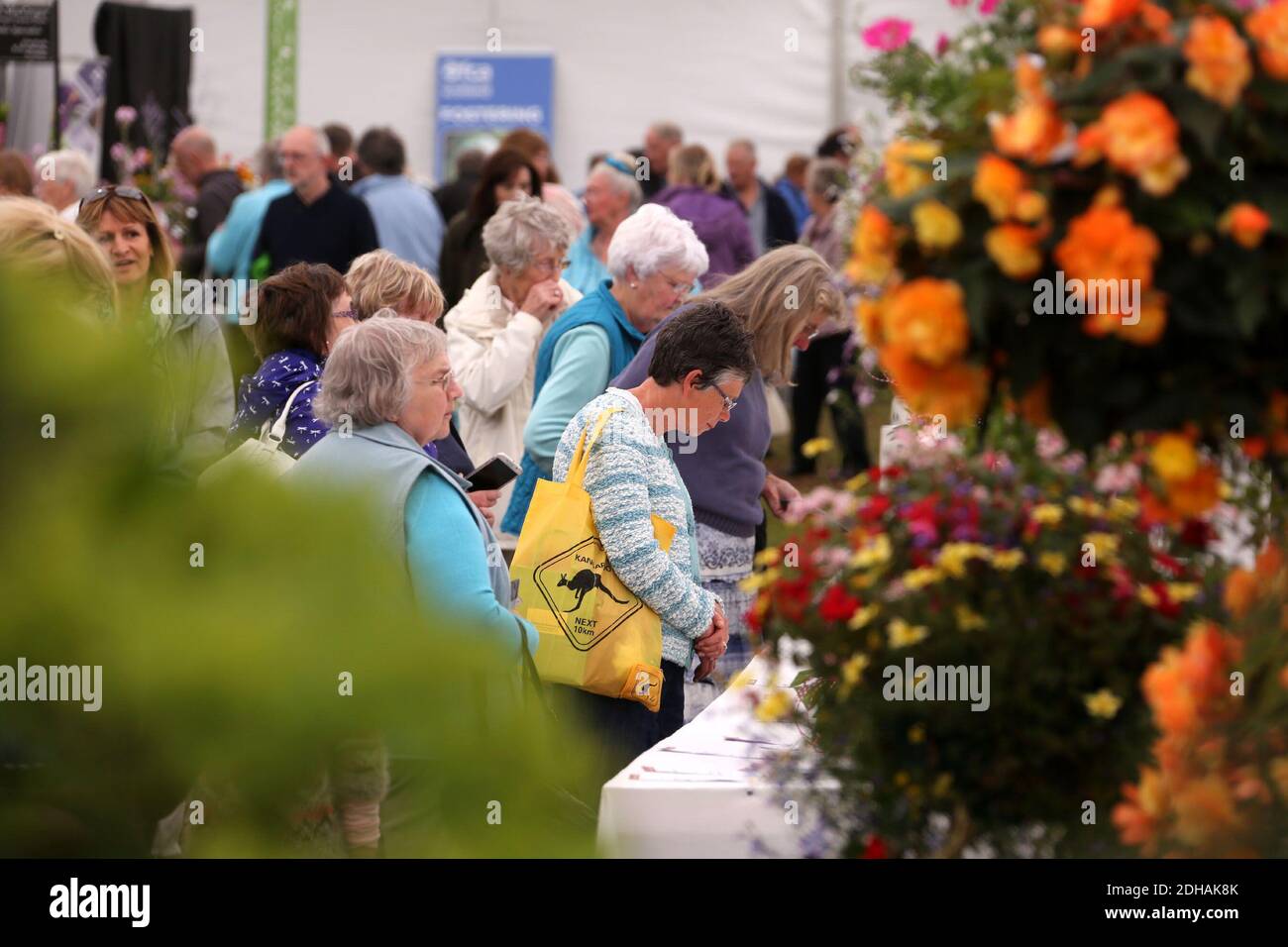 Ayr Flower Show 2016, Ayrshire, Scotland, UK. The annual flower show