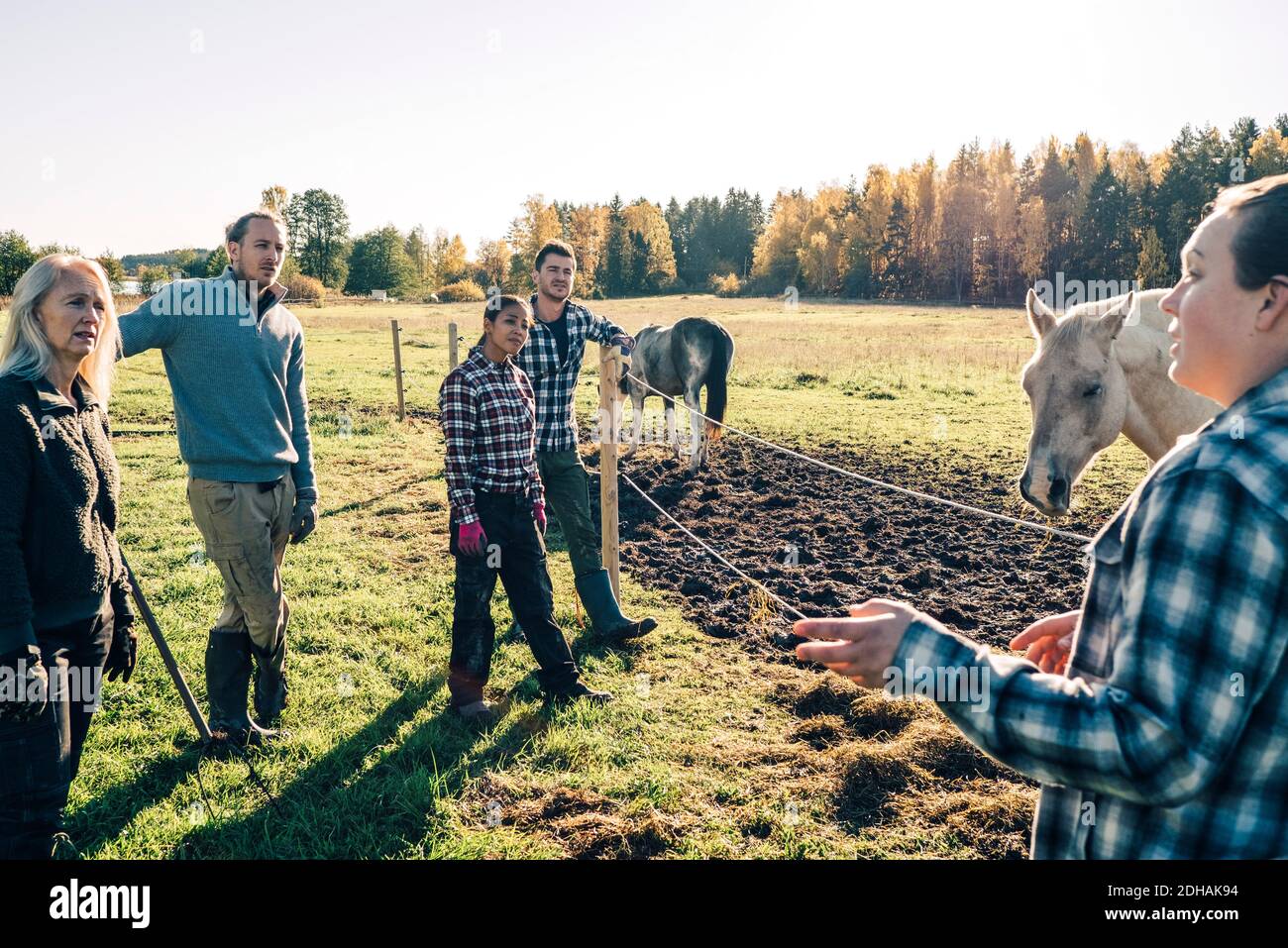 Female instructor explaining farmers about horse at organic farm Stock ...