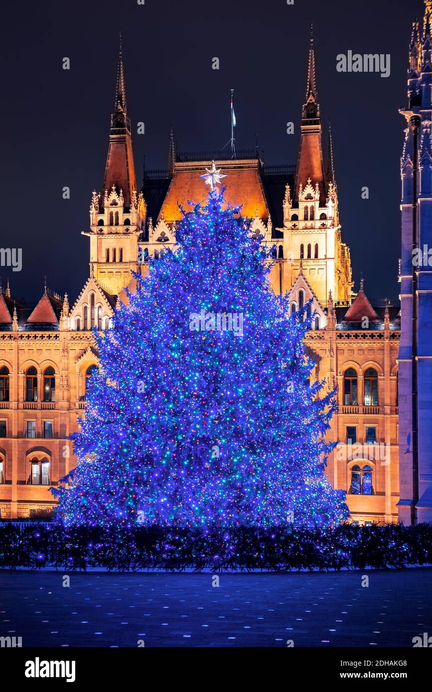 Traditional Giant christmas tree on Kossuth Square opposite the