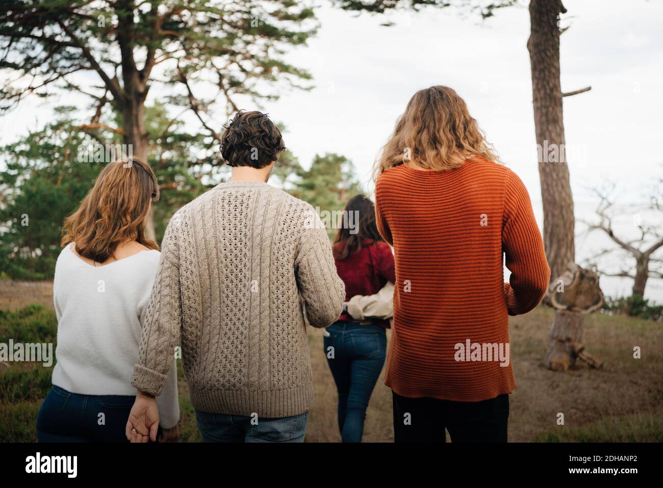 Rear view of friends walking in forest Stock Photo