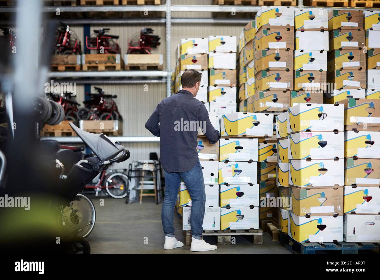 Rear view of mature male volunteer arranging boxes at warehouse Stock ...