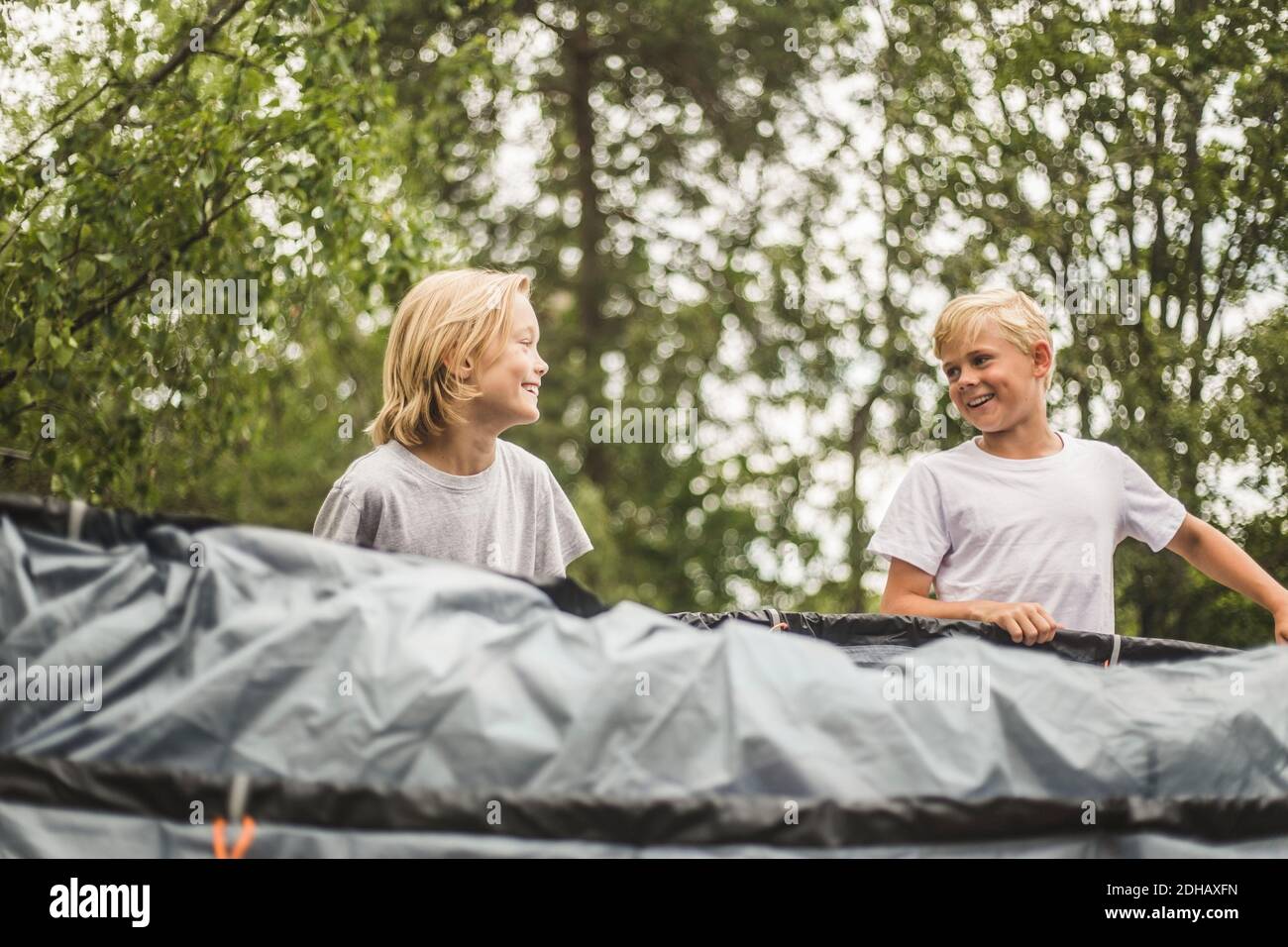 Excited brother and sister pitching tent together at camping site Stock Photo