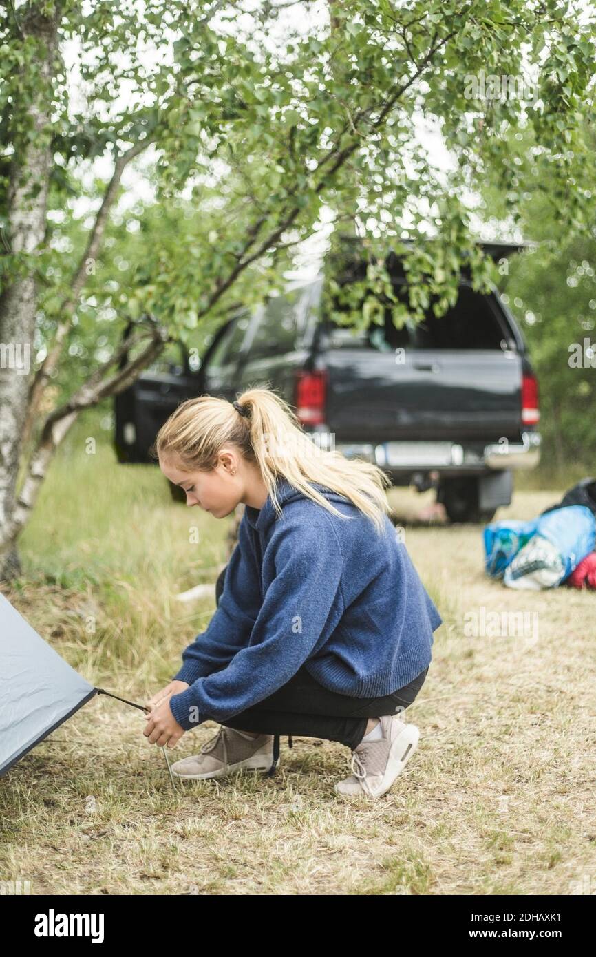 Teenage girl pitching tent at camping site Stock Photo