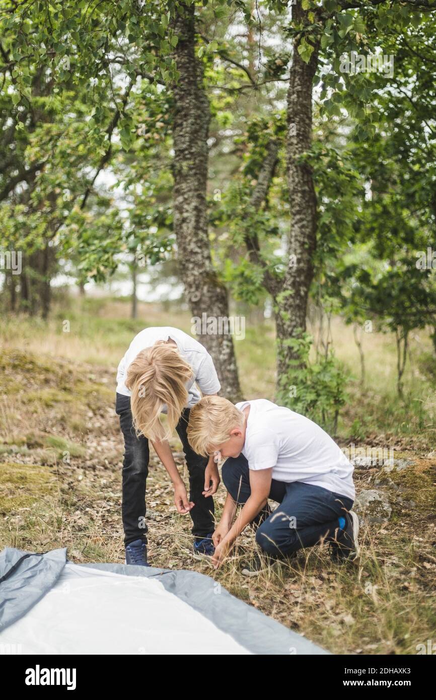 Siblings pitching tent together at field Stock Photo