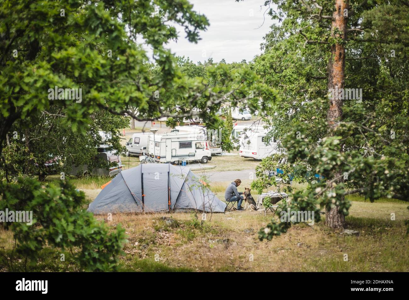 Man playing with dog by tent at camping site Stock Photo