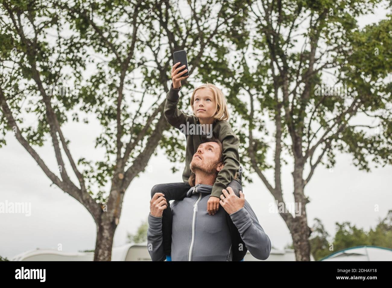 Girl holding mobile phone while sitting on father's shoulders against trees Stock Photo