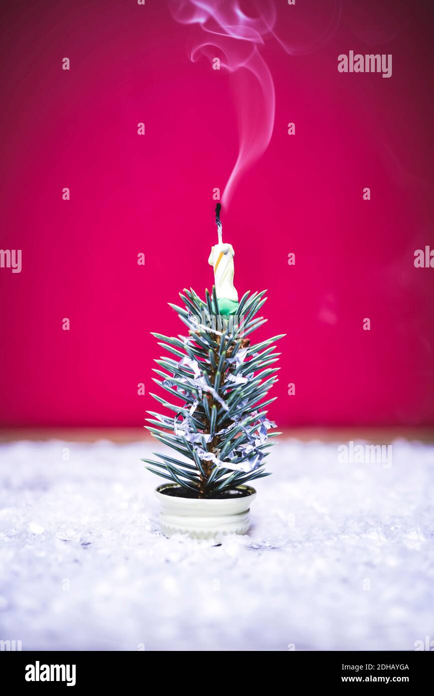 Mini-Weihnachtsbaum mit ausgelöschter Kerze Stock Photo