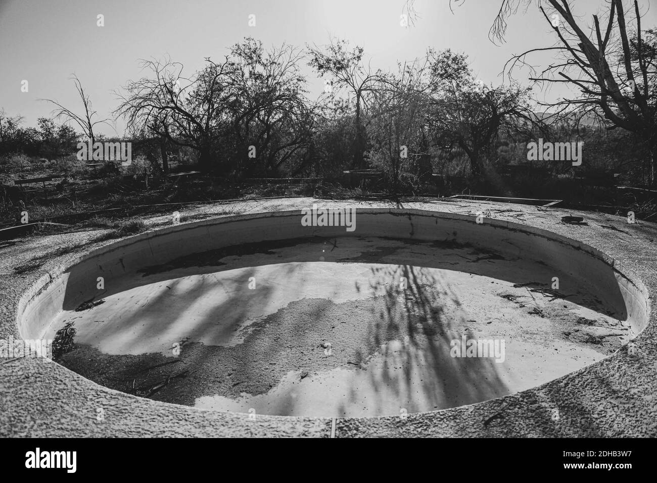 Soil texture, dry branches and ashes in rural area Real del Alamito in  Sonora, Mexico  Photo: (Photo by Luis Gutierrez / Norte Photo)  dry,  dry Stock Photo - Alamy