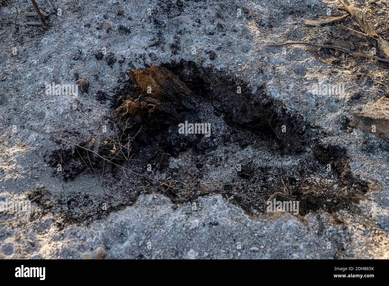 Soil texture, dry branches and ashes in rural area Real del Alamito in  Sonora, Mexico  Photo: (Photo by Luis Gutierrez / Norte Photo)  dry,  dry Stock Photo - Alamy