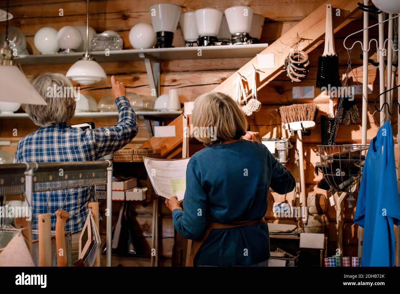 Rear view of female coworkers examining lighting equipment on shelves in hardware store Stock Photo