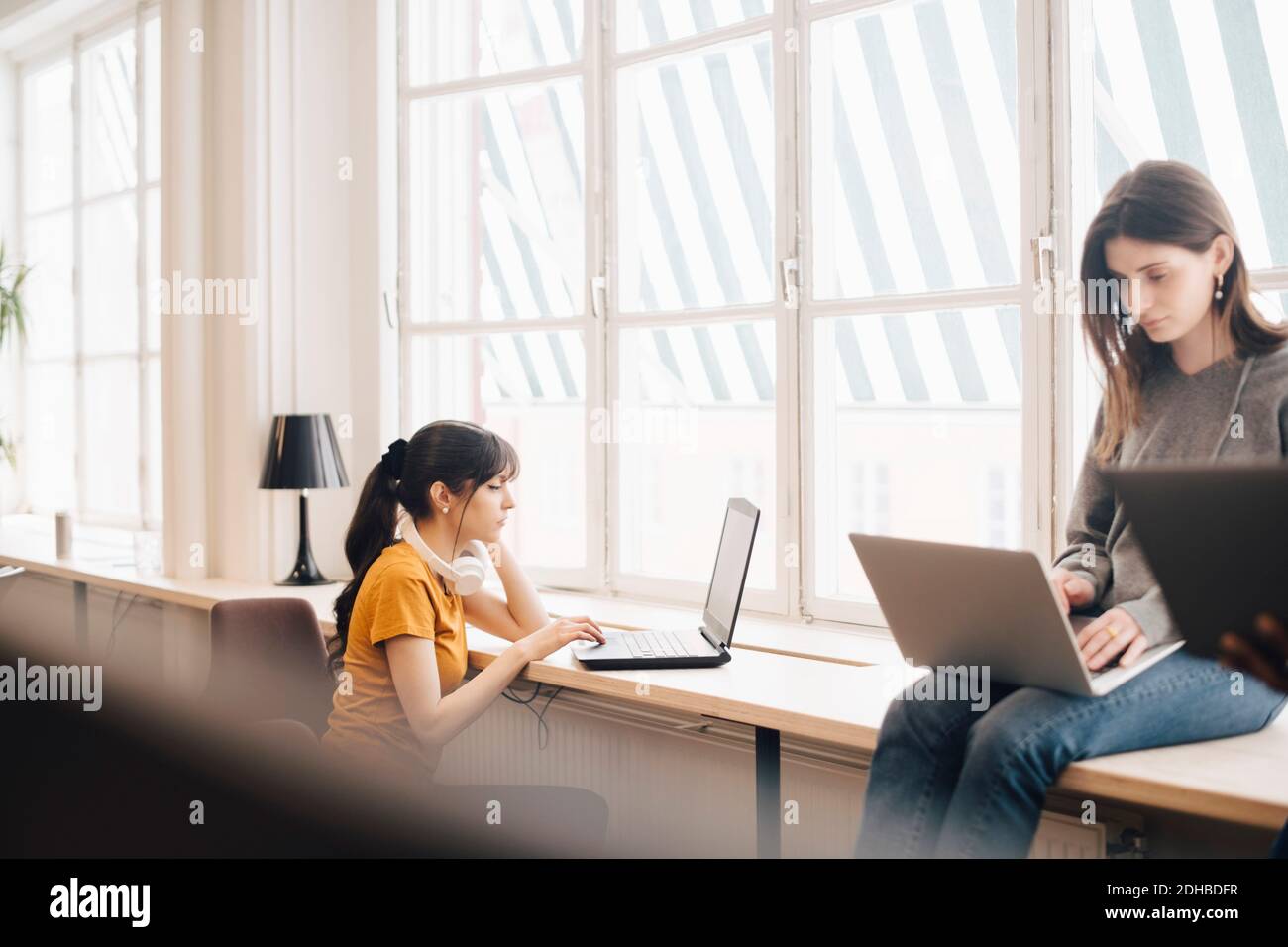 Female colleagues using laptops on desk against window at office Stock Photo