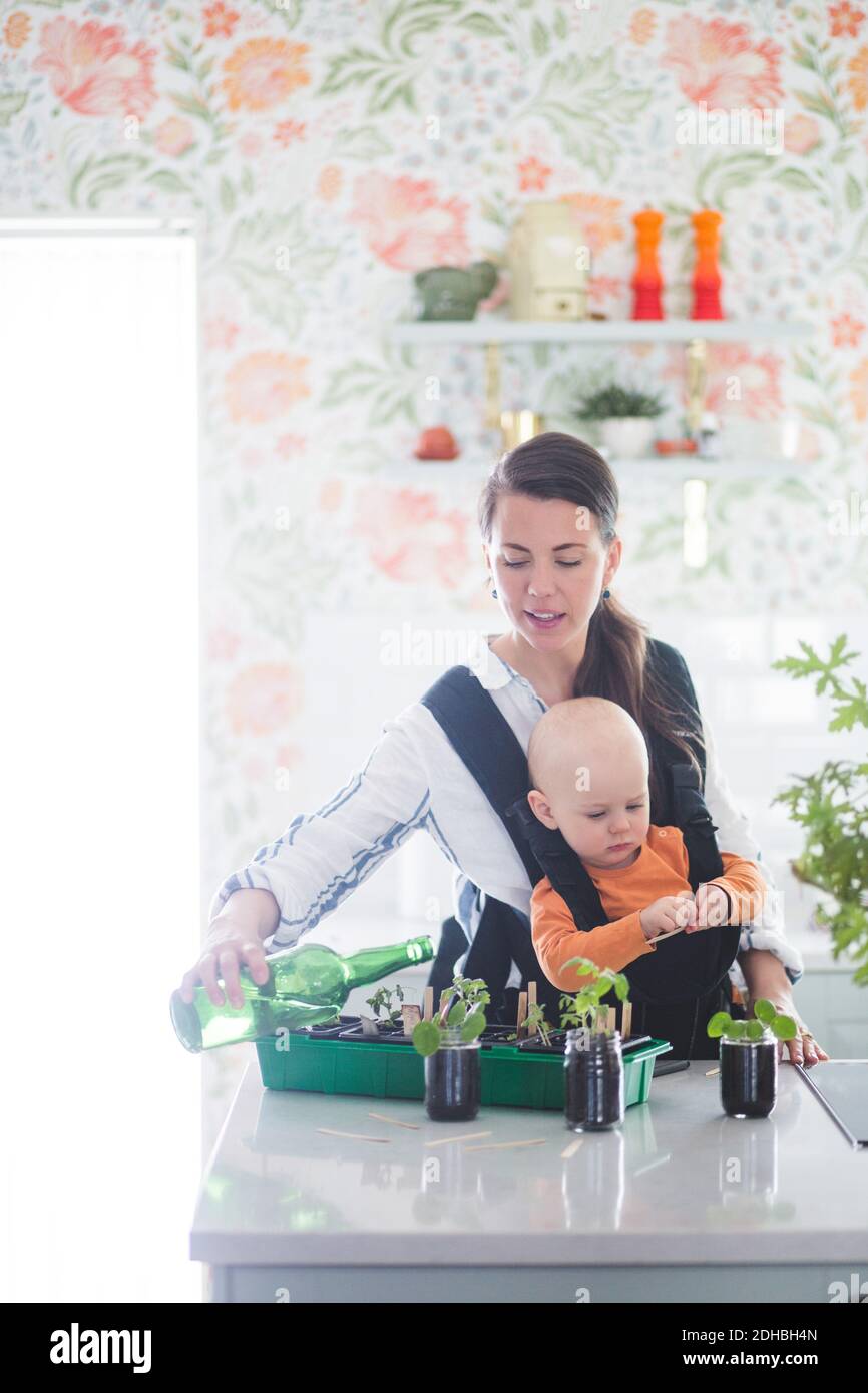 Mid adult freelancer carrying daughter while watering potted plants on kitchen island Stock Photo