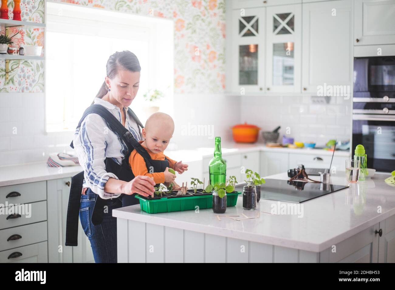Working mother planting plants in container while carrying daughter in kitchen at home Stock Photo