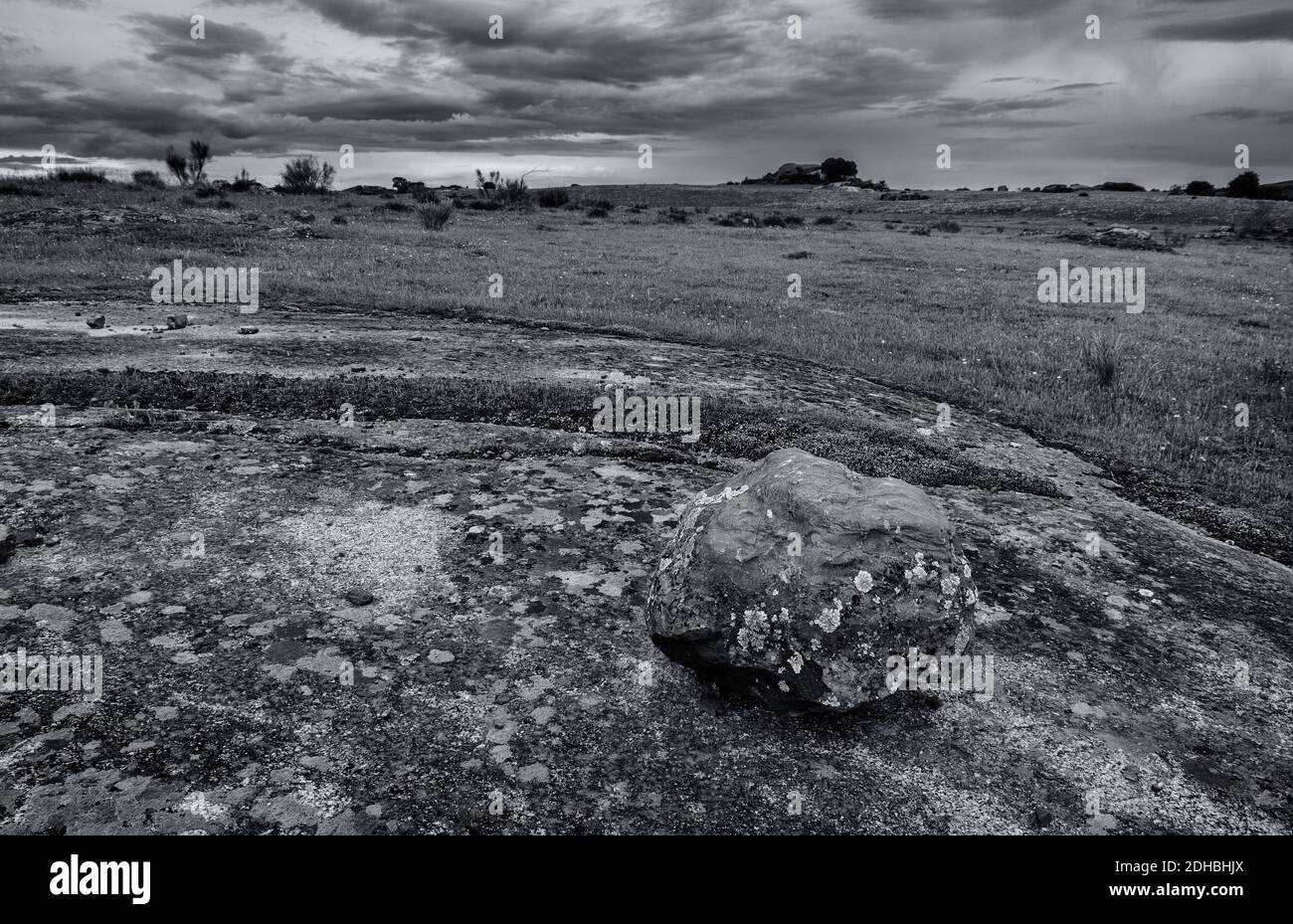 A grayscale closeup of a big rock on the field Stock Photo - Alamy
