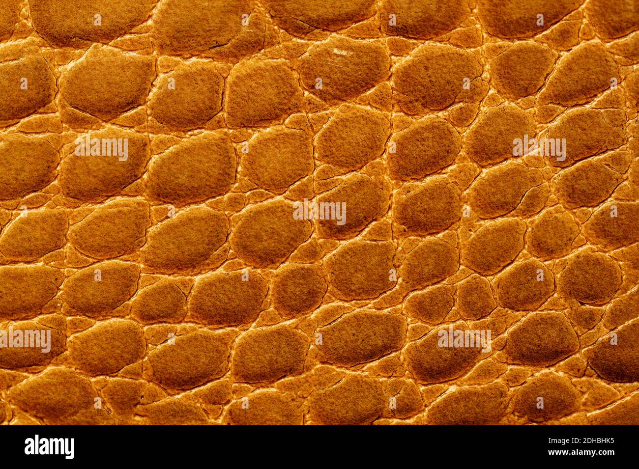 Genuine leather texture closeup, golden brown color, matte surface, like a wall of round matte stones, trendy background, copy space Stock Photo
