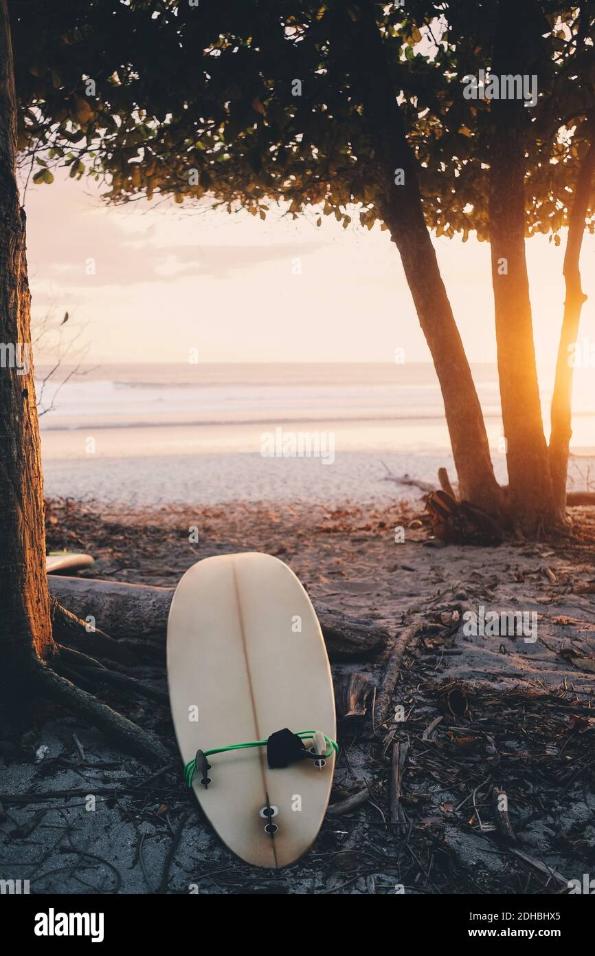 Surfboard on shore at beach during sunset Stock Photo