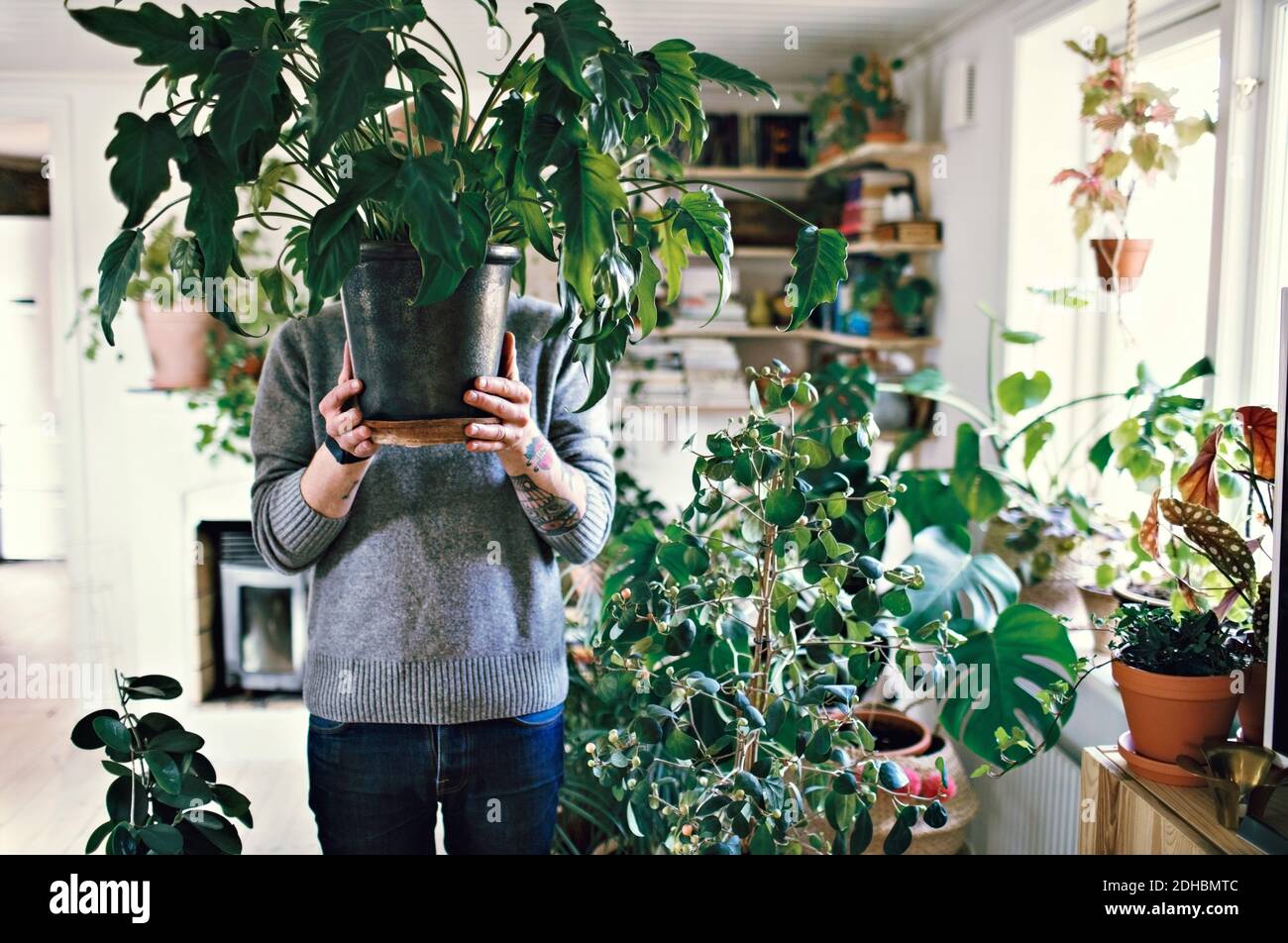 Man holding potted plant in front of face at home Stock Photo
