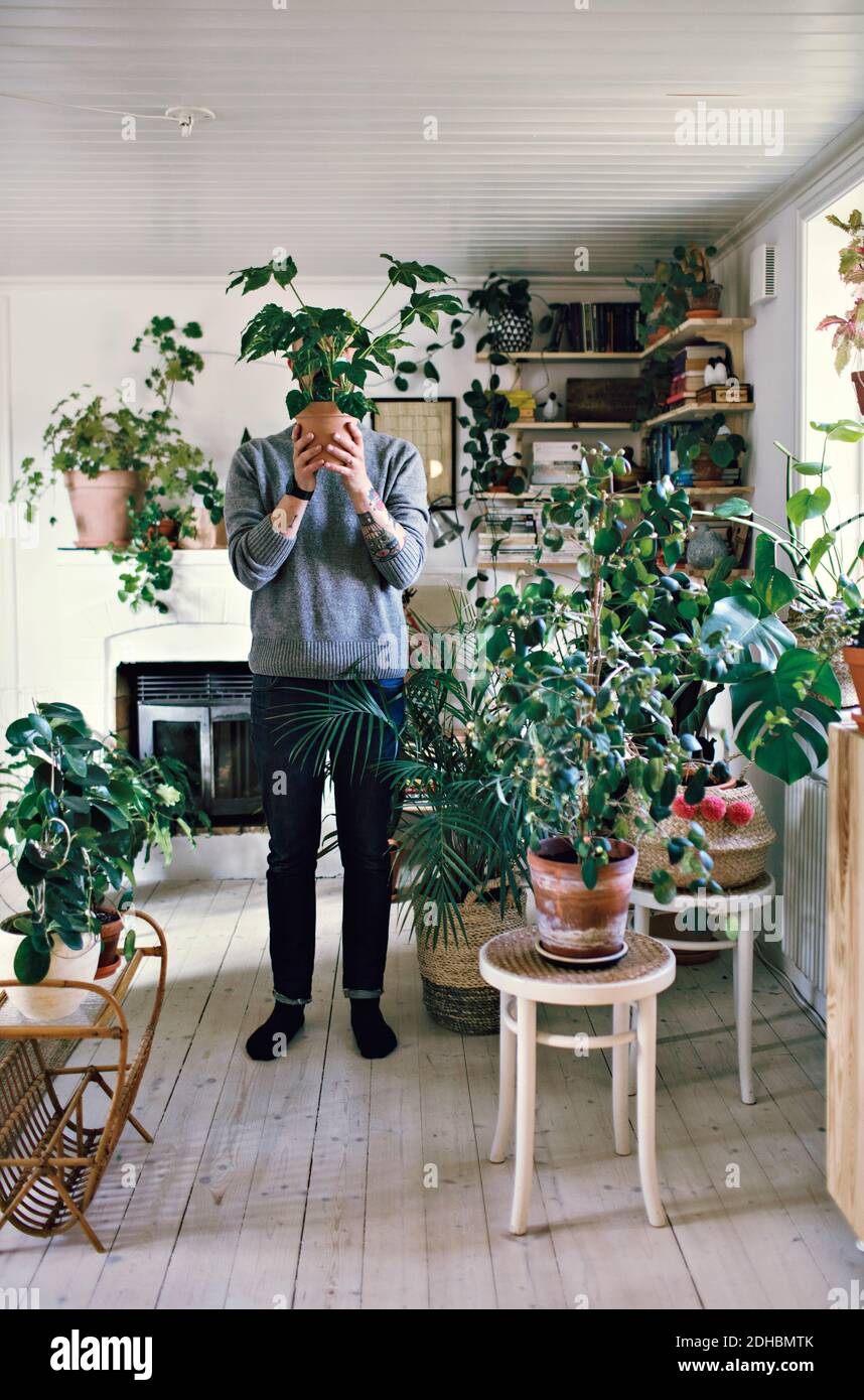 Full length of man holding potted plant in front of face standing at home Stock Photo