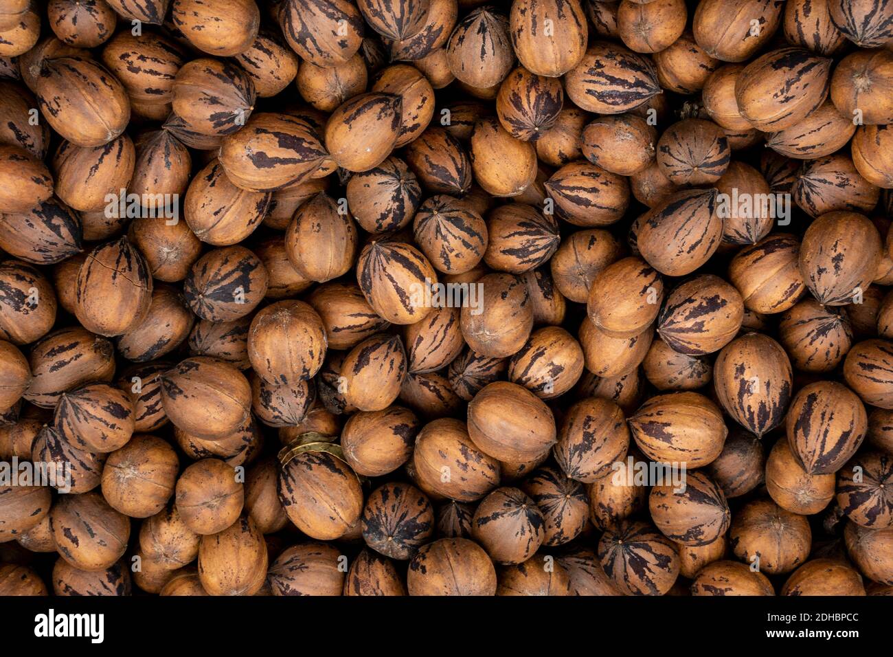 many pecan nuts in a box Stock Photo