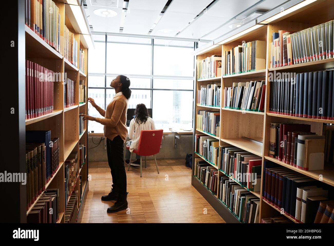 Library shelf arrangement hires stock photography and images Alamy