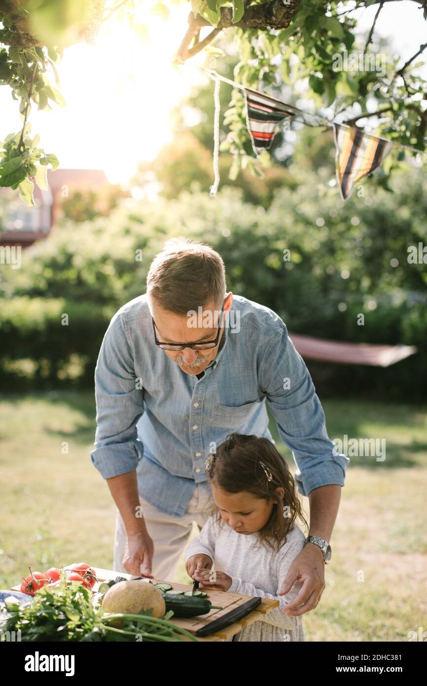 Grandfather assisting granddaughter in cutting vegetable at table in backyard Stock Photo