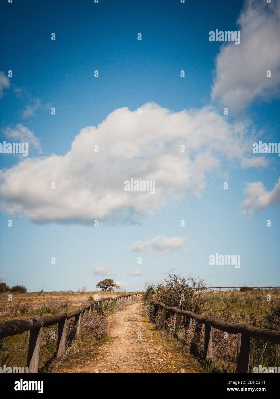 A vertical shot of a pathway surrounded by wooden fences in a field in ...
