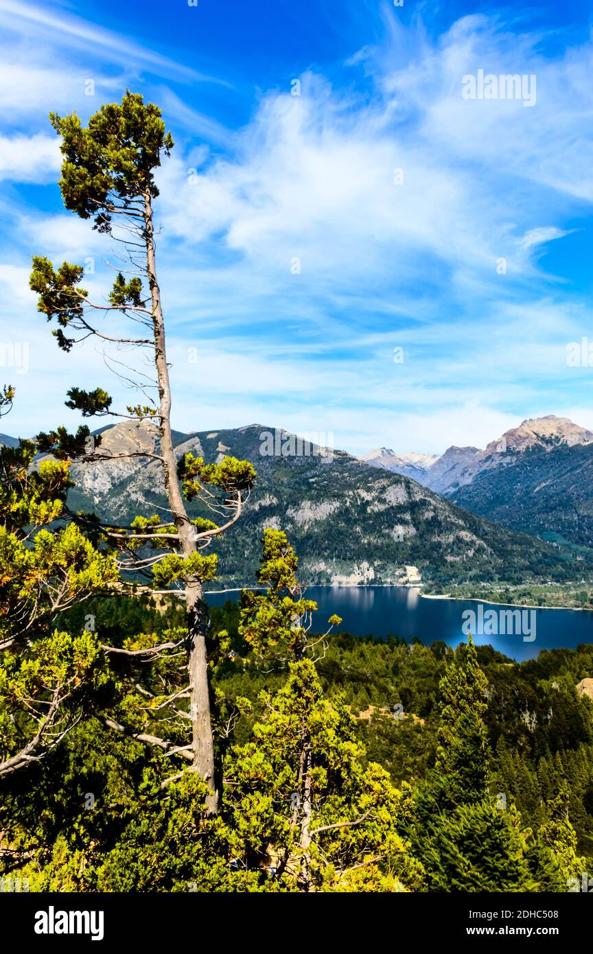 A vertical shot of green trees on the scenic Gutierrez lake and mountains background Stock Photo