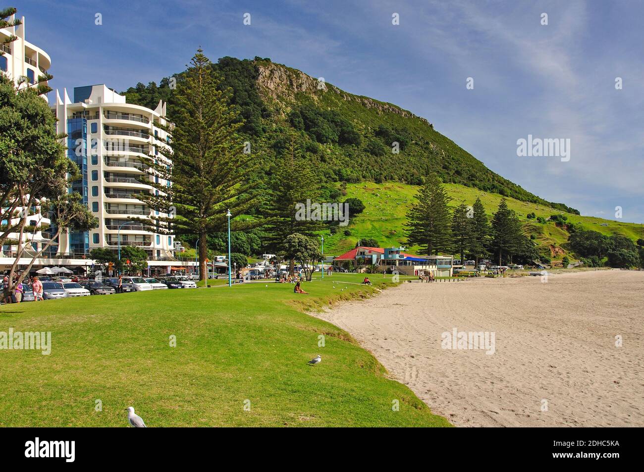 Waterfront promenade, Mount Maunganui, Tauranga, Bay of Plenty Region, North Island, New Zealand Stock Photo